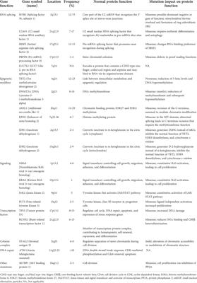 The genetics of myelodysplastic syndromes and the opportunities for tailored treatments